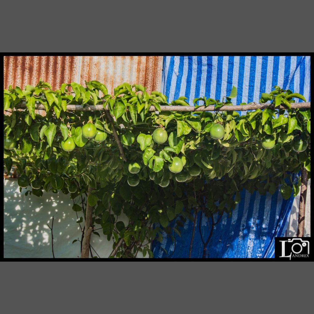 06F5C7FA-CDF8-4C69-AA60-F0E844AE0A43