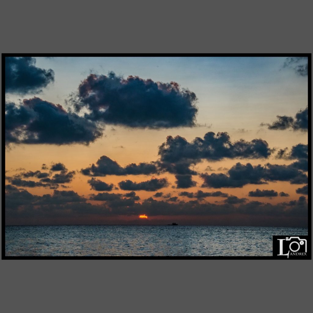 649AC087-77E3-4E01-87A1-07F510DD0431