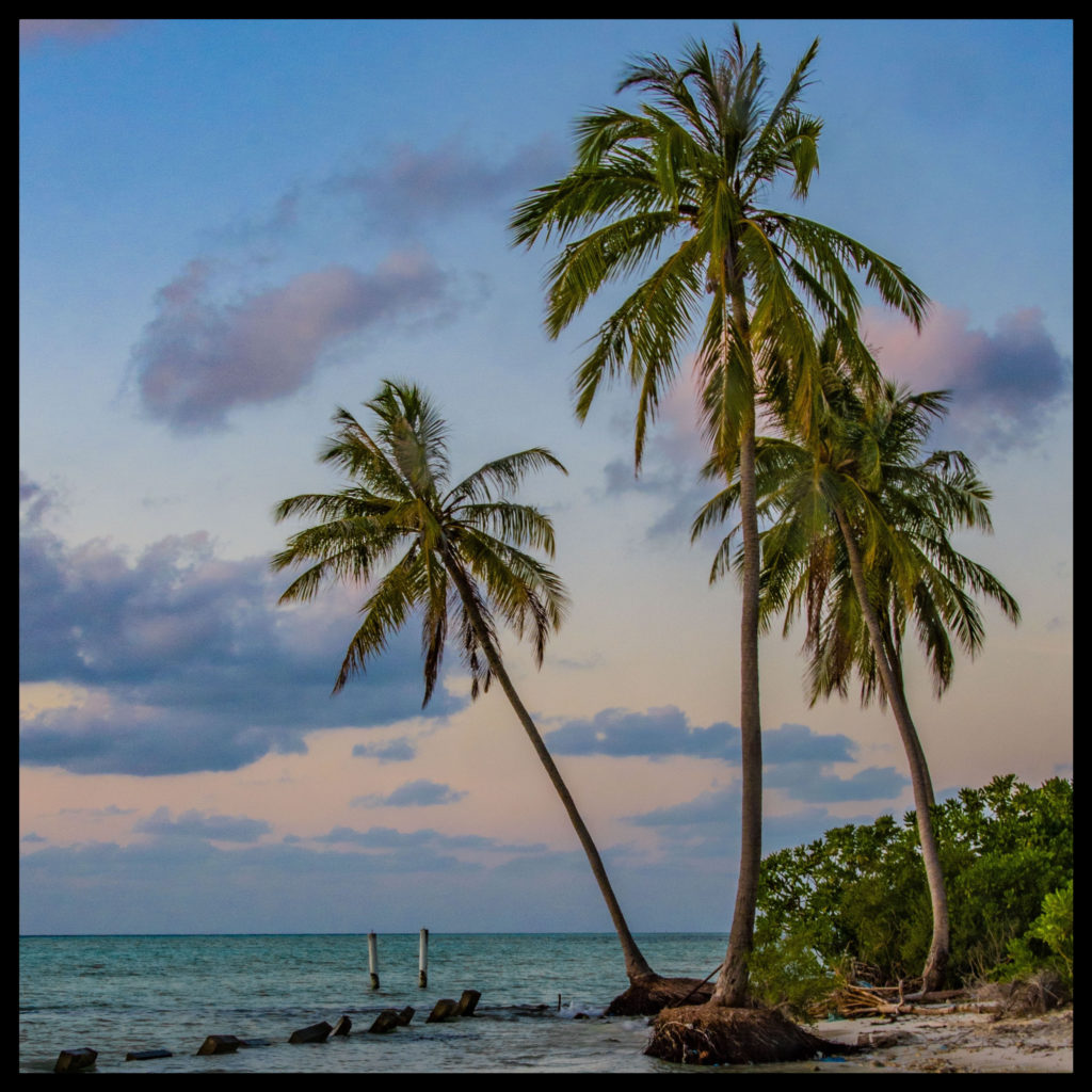MALDIVE