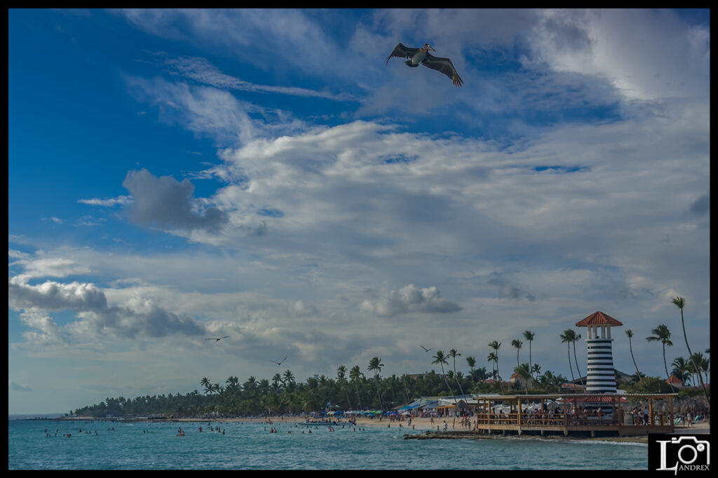 7FF96917-DBBD-47E5-8472-88B12064BBF2