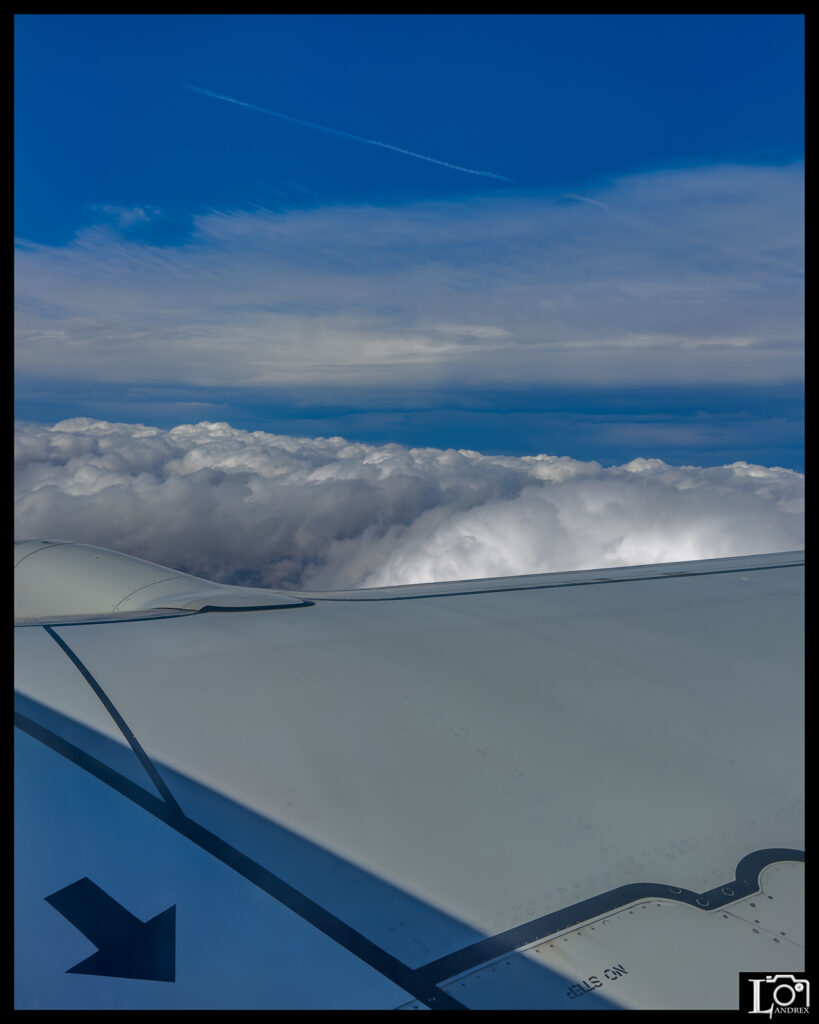 95BF743B-3778-4F76-B122-47760BA98580