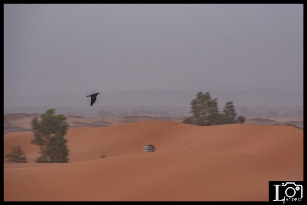 MAROCCO