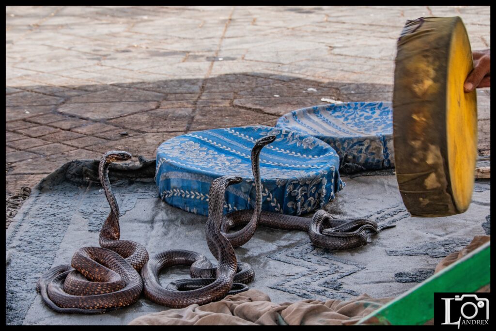 MAROCCO