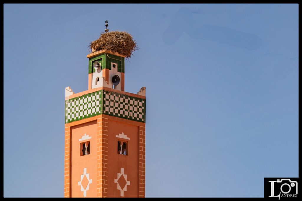 MAROCCO