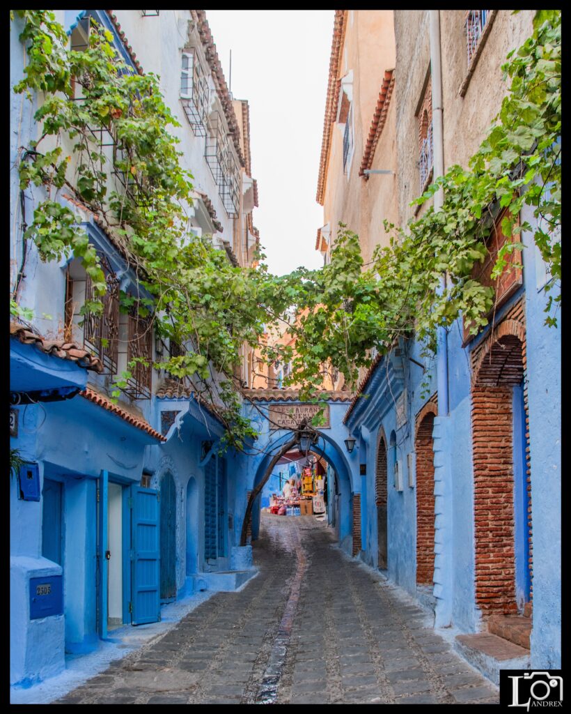 MAROCCO