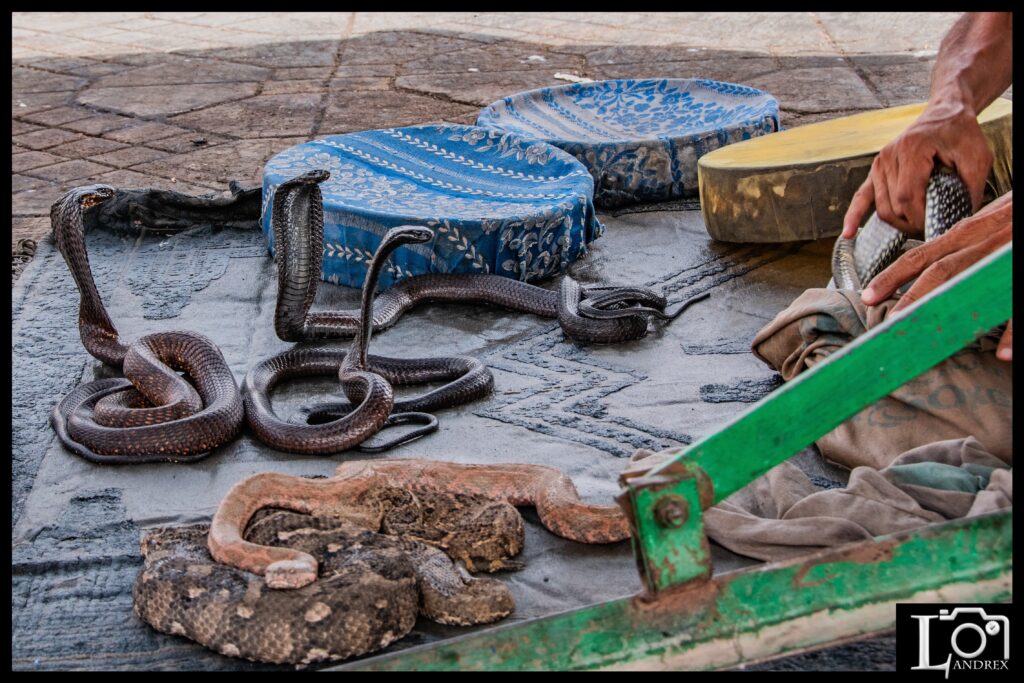 MAROCCO