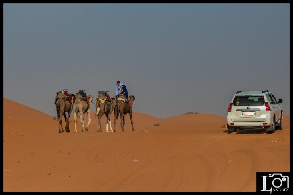 MAROCCO