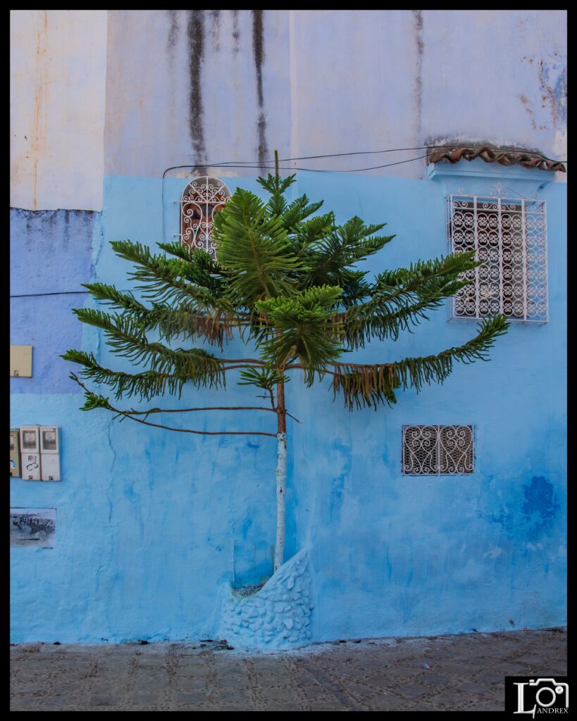 MAROCCO