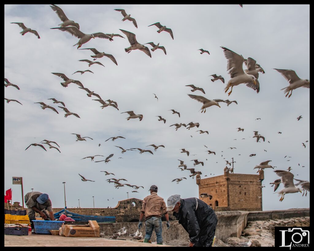 MAROCCO
