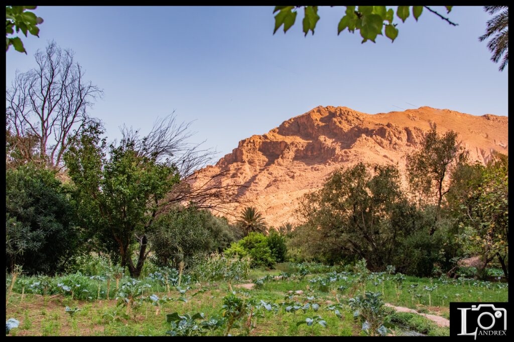 MAROCCO