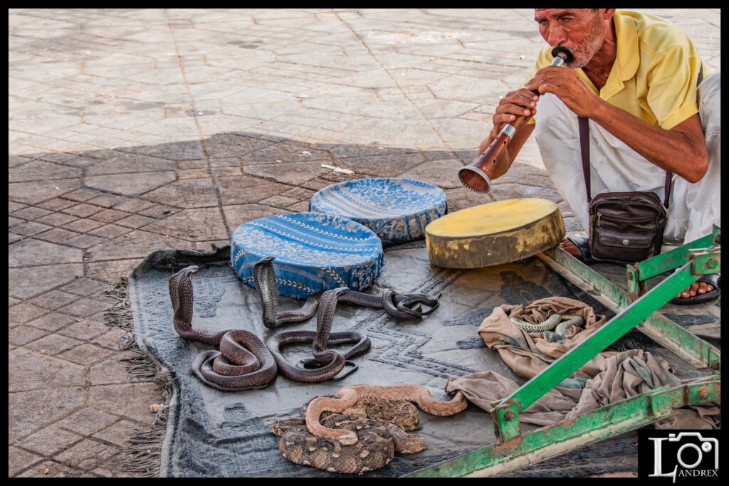 MAROCCO