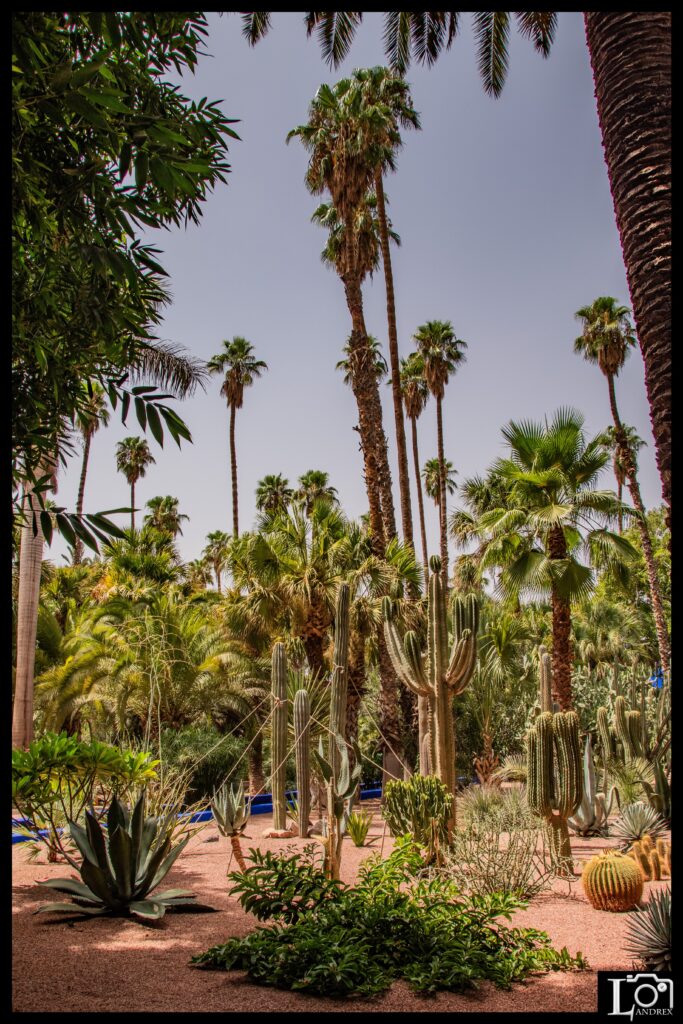 MAROCCO