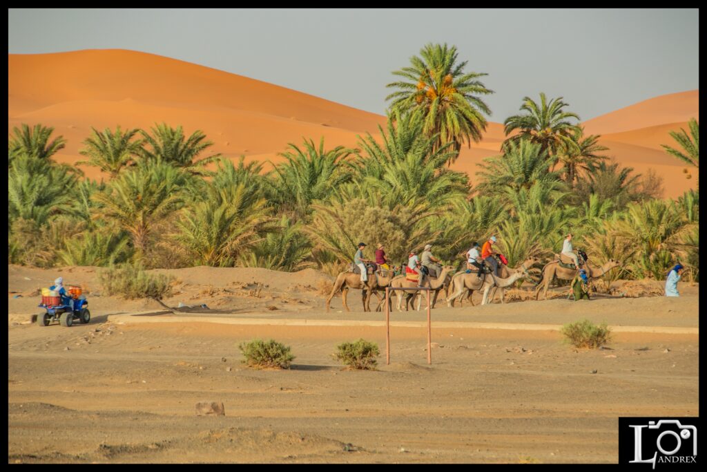 MAROCCO