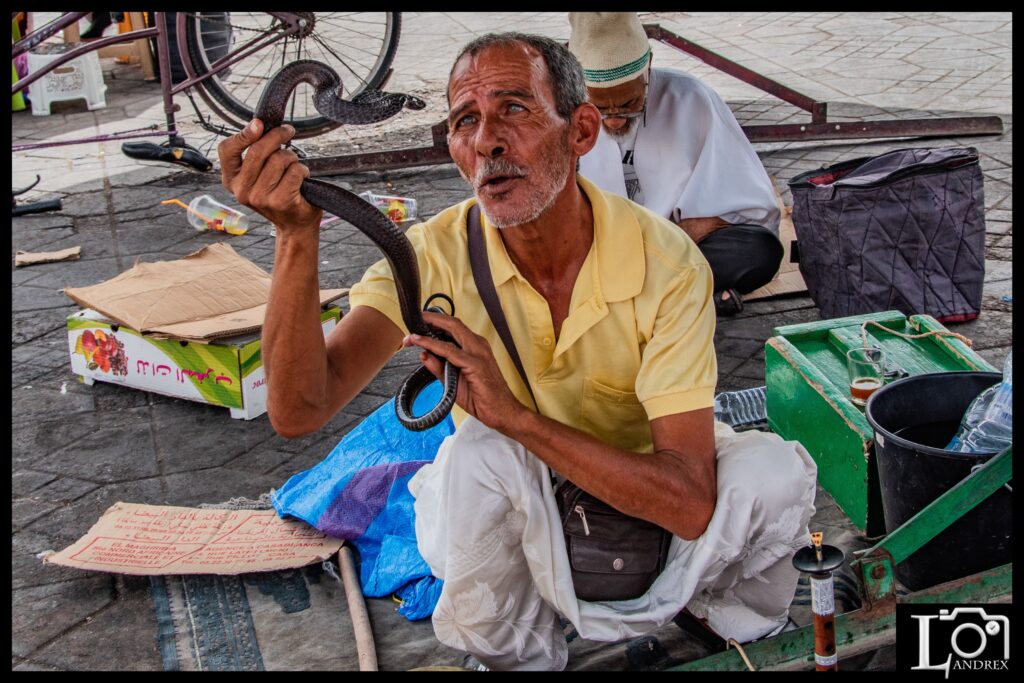 MAROCCO