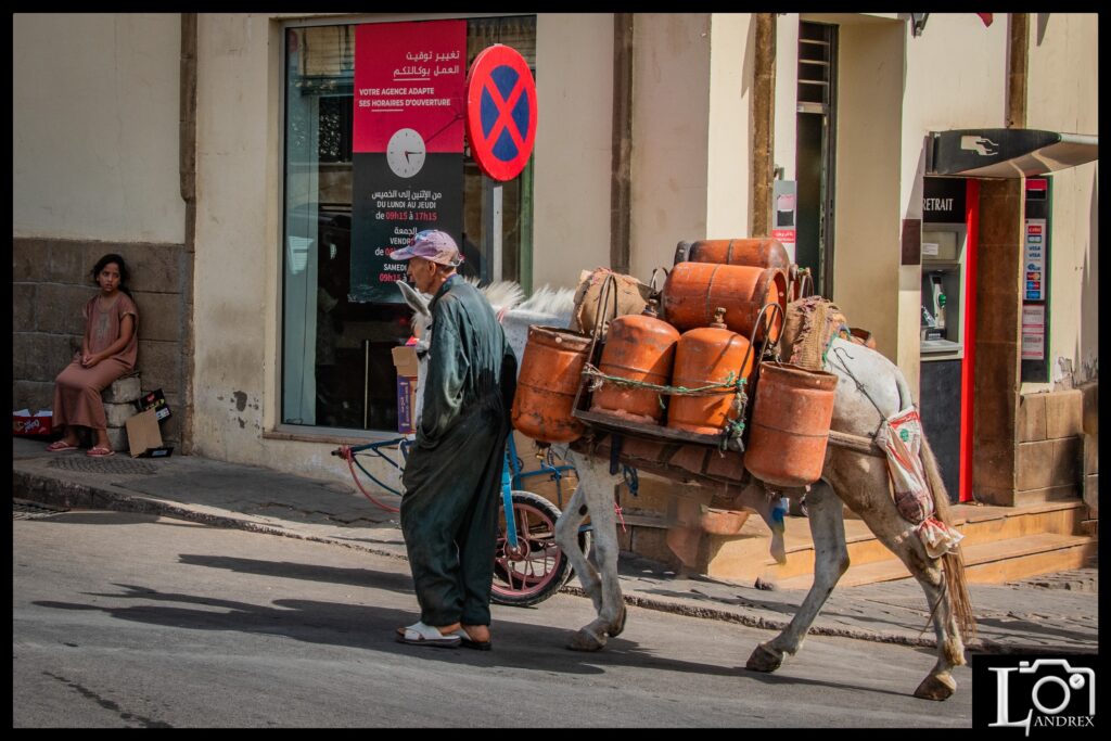 MAROCCO