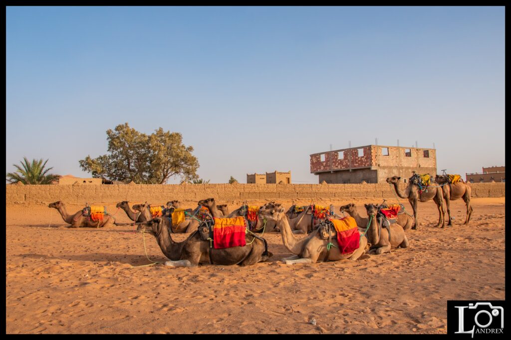 MAROCCO