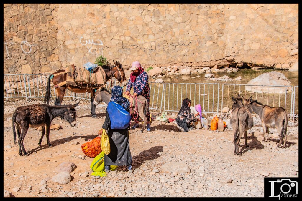 MAROCCO