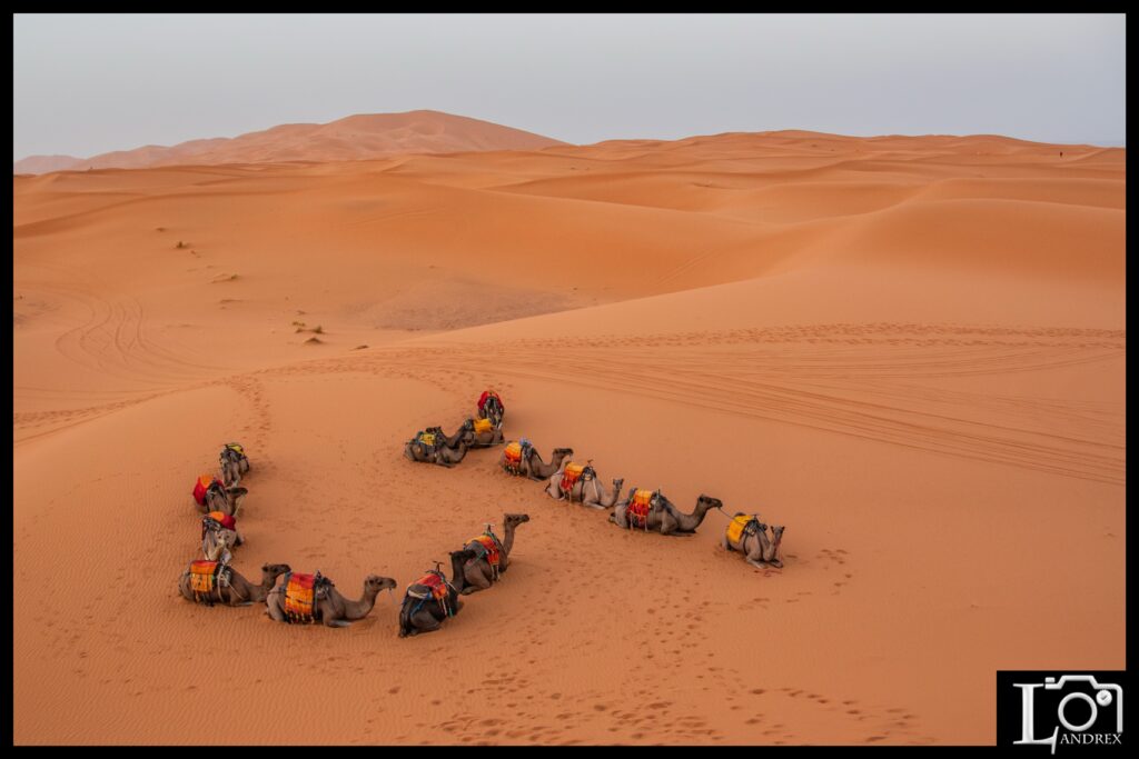 MAROCCO