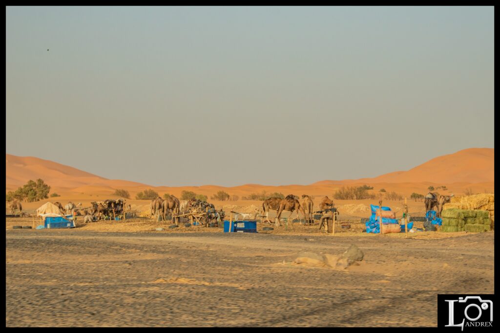 MAROCCO