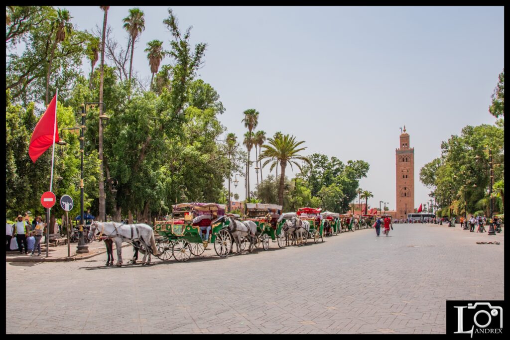 MAROCCO