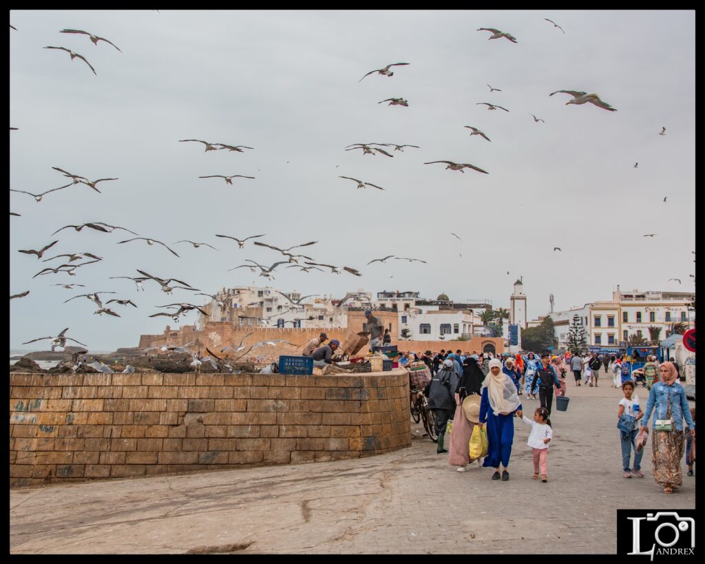 MAROCCO