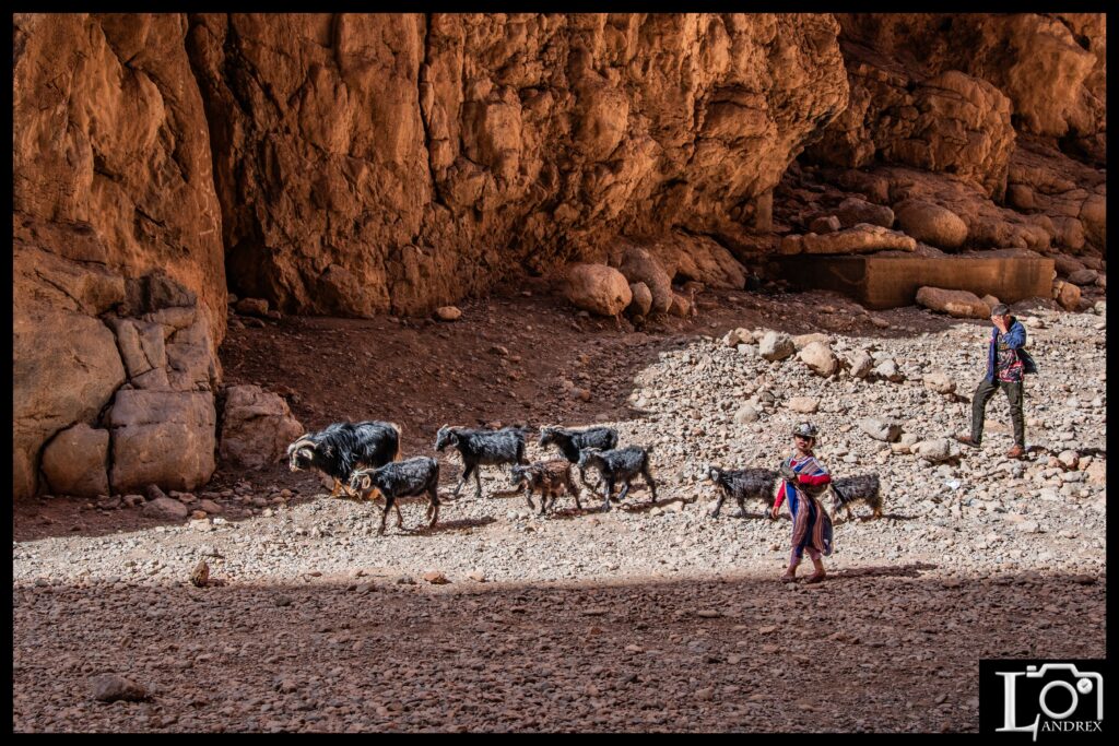 MAROCCO