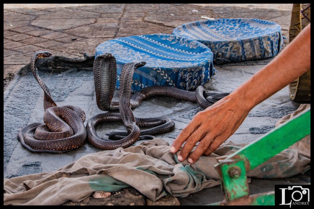 MAROCCO