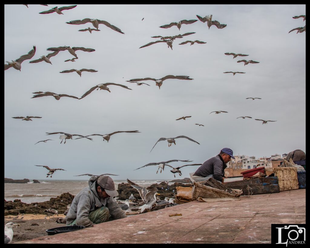 MAROCCO