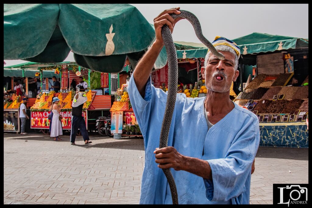 MAROCCO