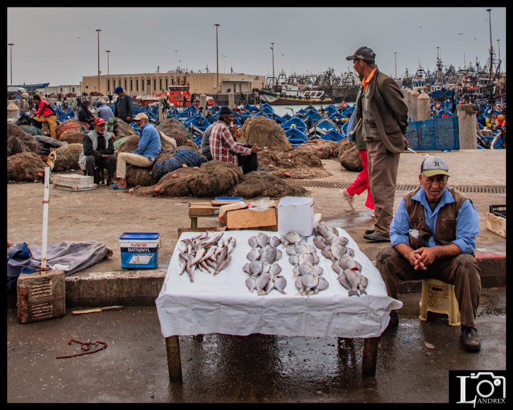 MAROCCO